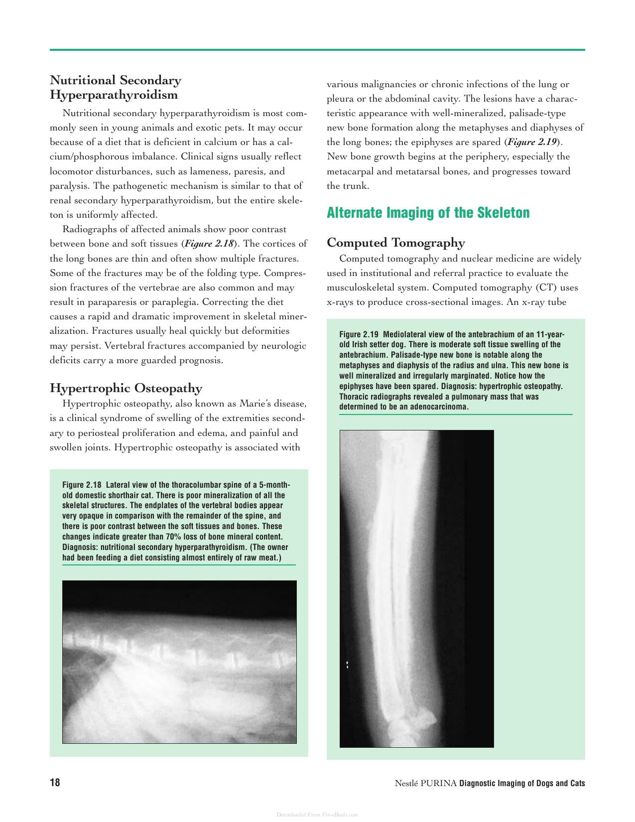 Diagnostic Imaging Of Dogs And Cats
