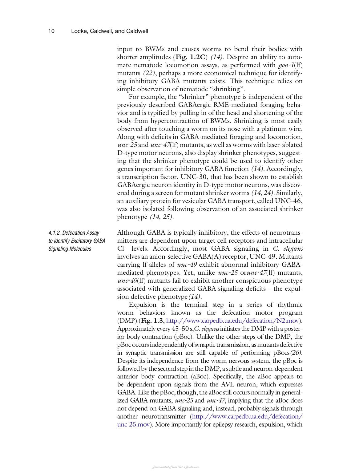 Animal Models Of Epilepsy Methods And Innovations