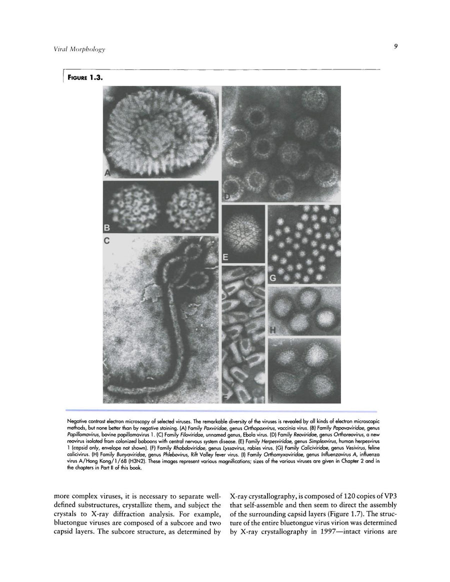 Preview page of Veterinary Virology 3rd Edition