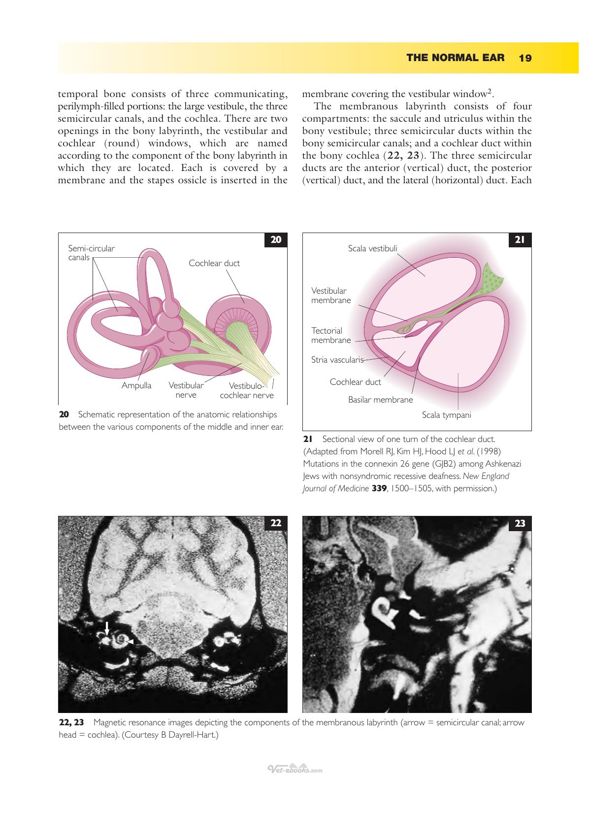 Ear Diseases Of The Dog And Cat