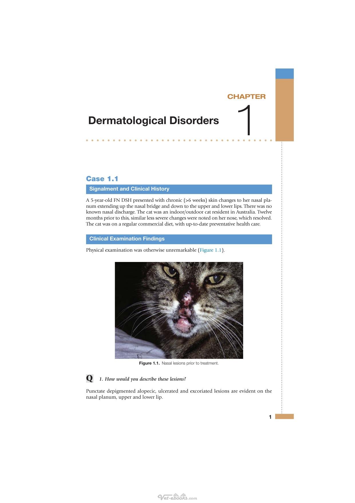 Feline Medicine Review And Test