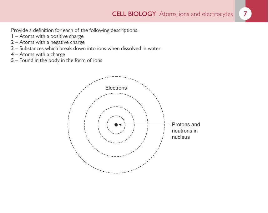Introduction To Veterinary Anatomy And Physiology Flashcards
