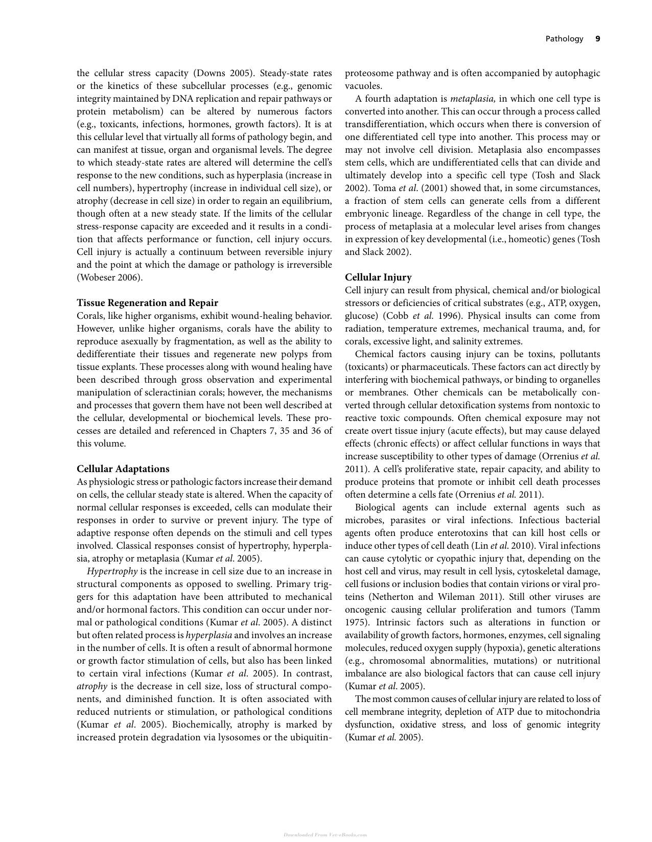 Diseases Of Coral