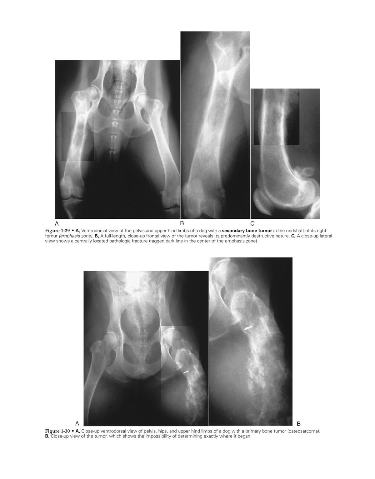 Look inside — page 20