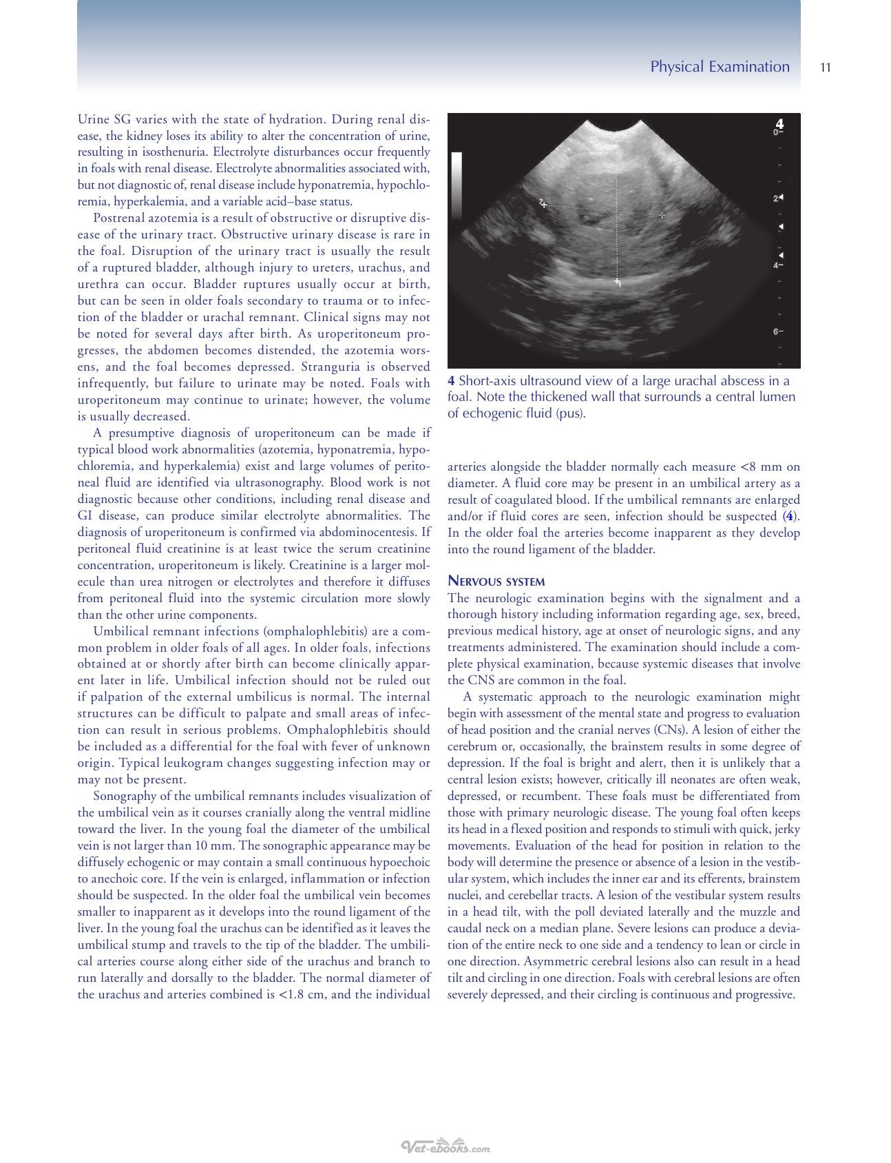 Equine Pediatric Medicine