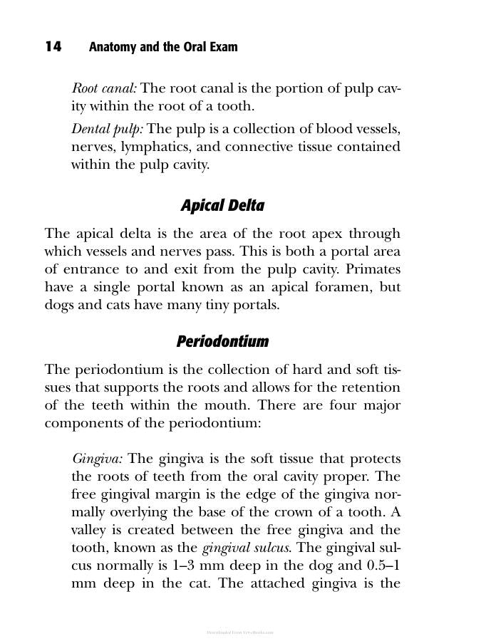Small Animal Dentistry The Practical Veterinarian