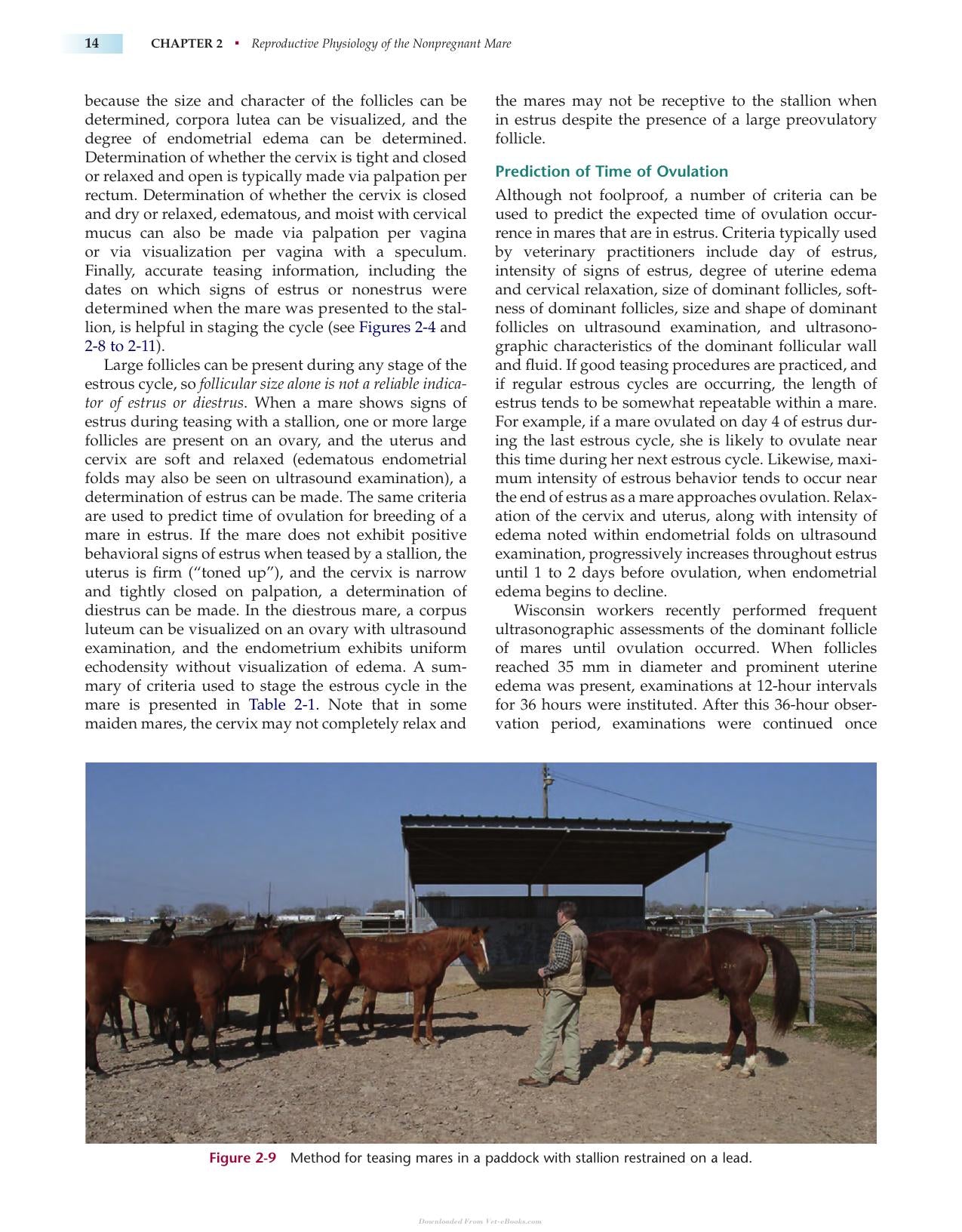 Manual Of Equine Reproduction 3Rd Edition