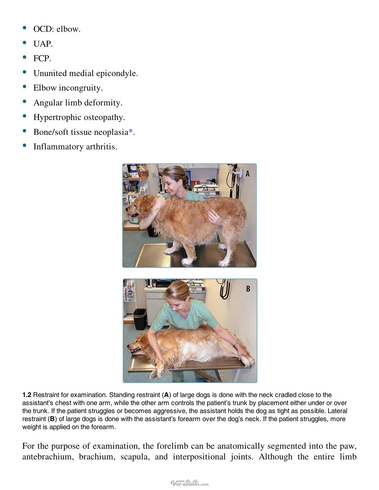 Multimodal Management Of Canine Osteoarthritis 2Nd Edition