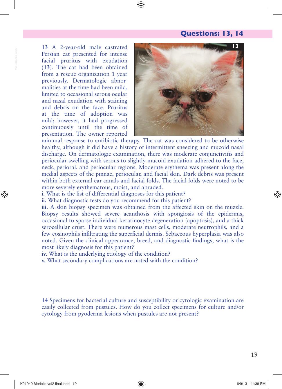 Small Animal Dermatology Advanced Cases Self Assessment Color Review