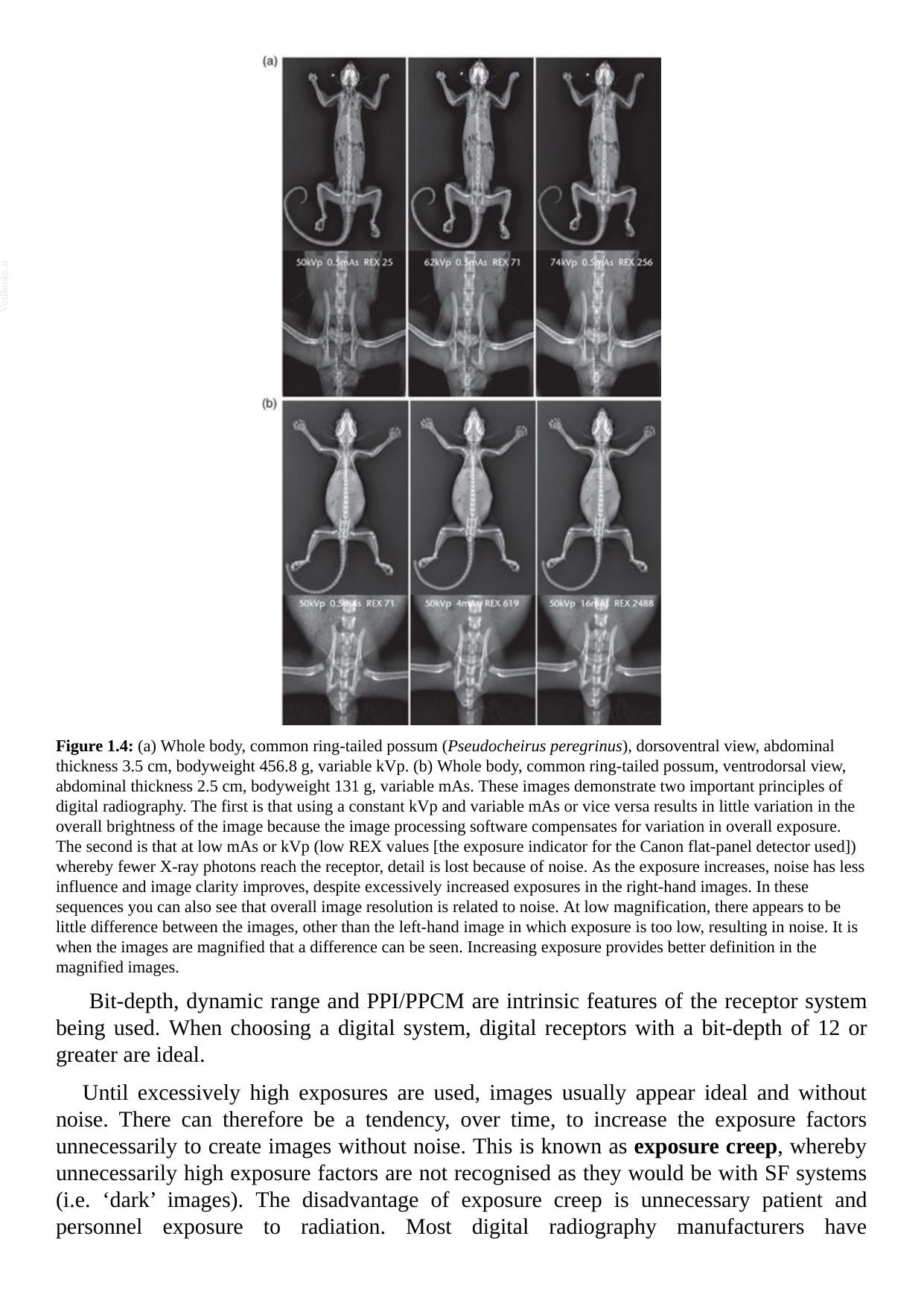 Radiology Of Australian Mammals