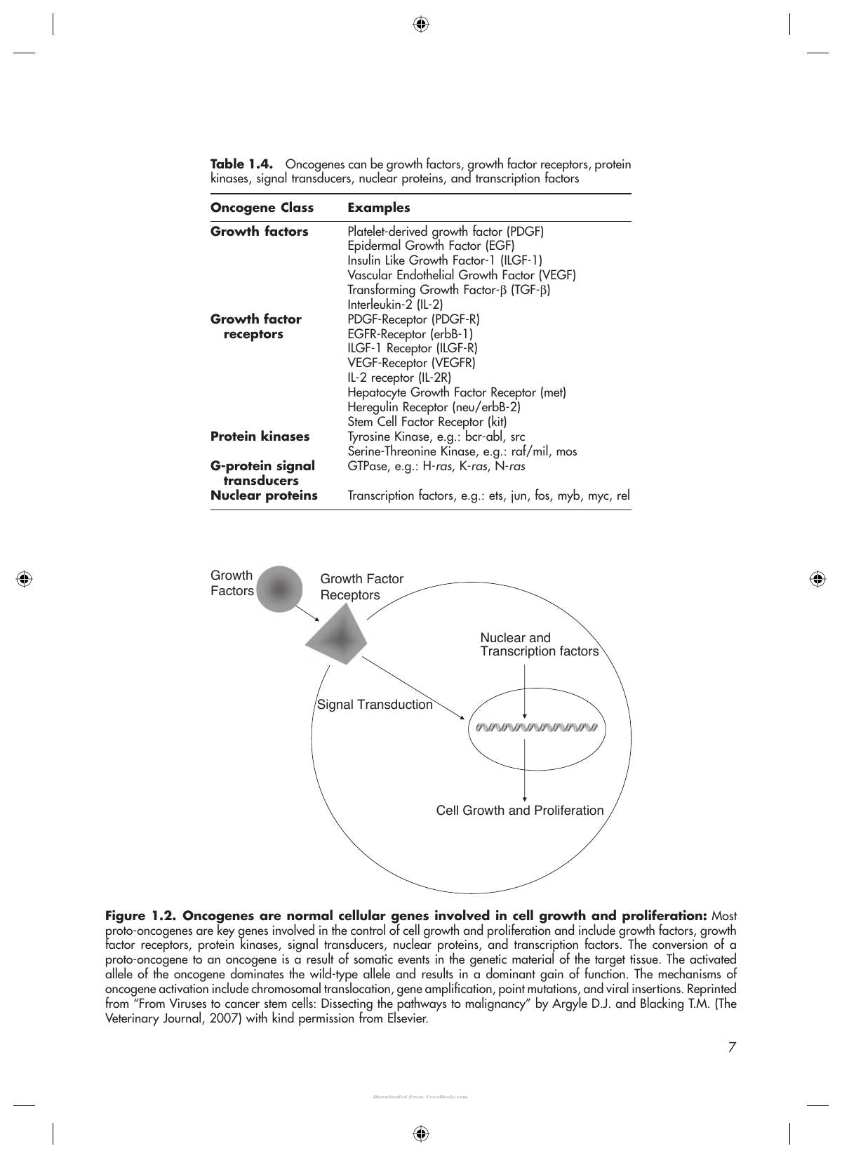 Decision Making In Small Animal Oncology