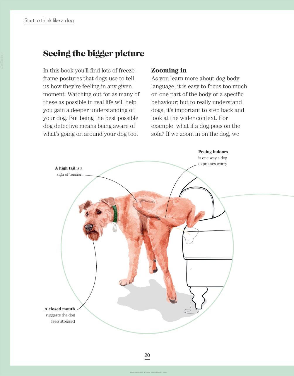 Whats My Dog Thinking Understand Your Dog To Give Them A Happy Life