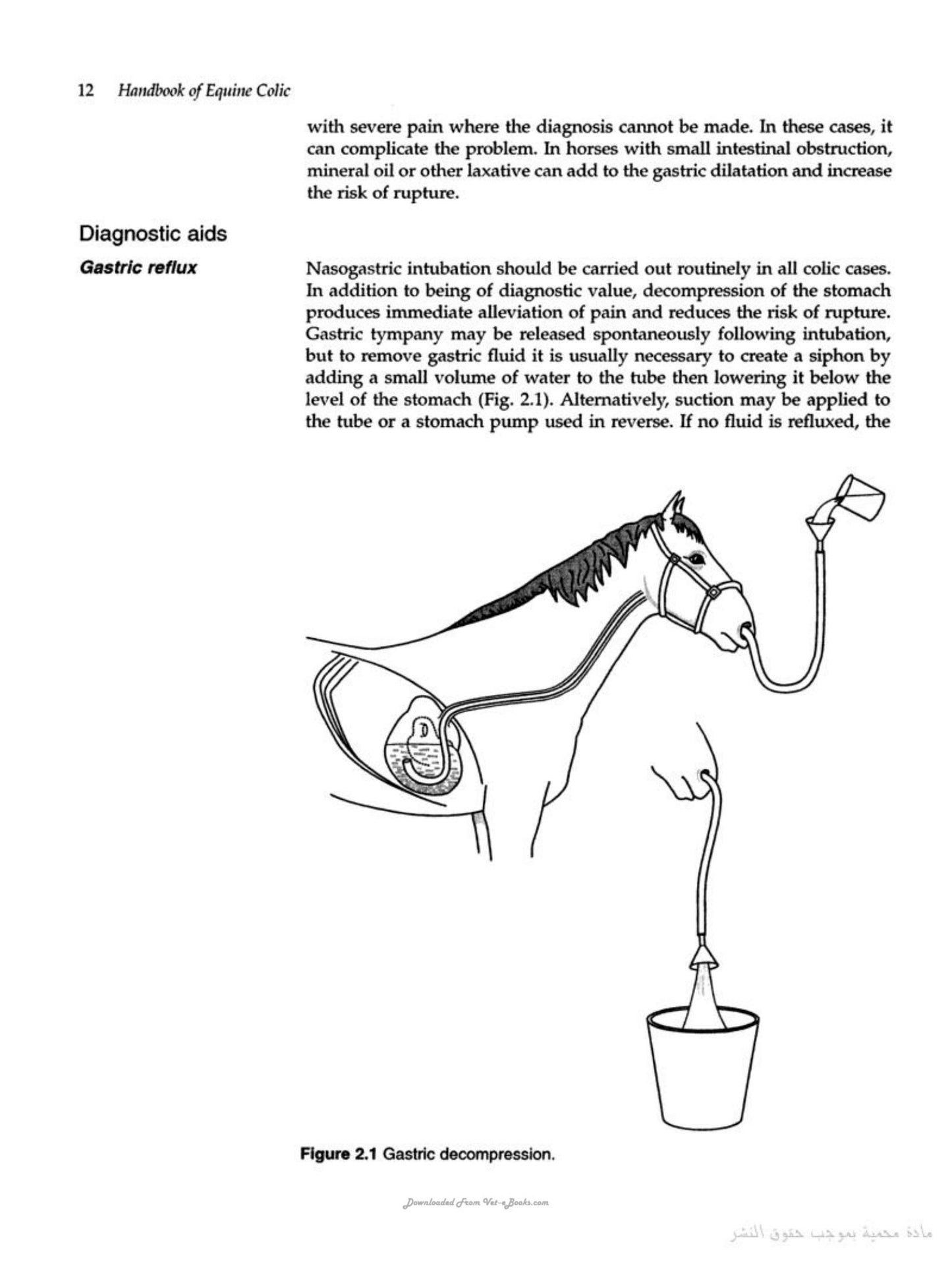 Handbook Of Equine Colic
