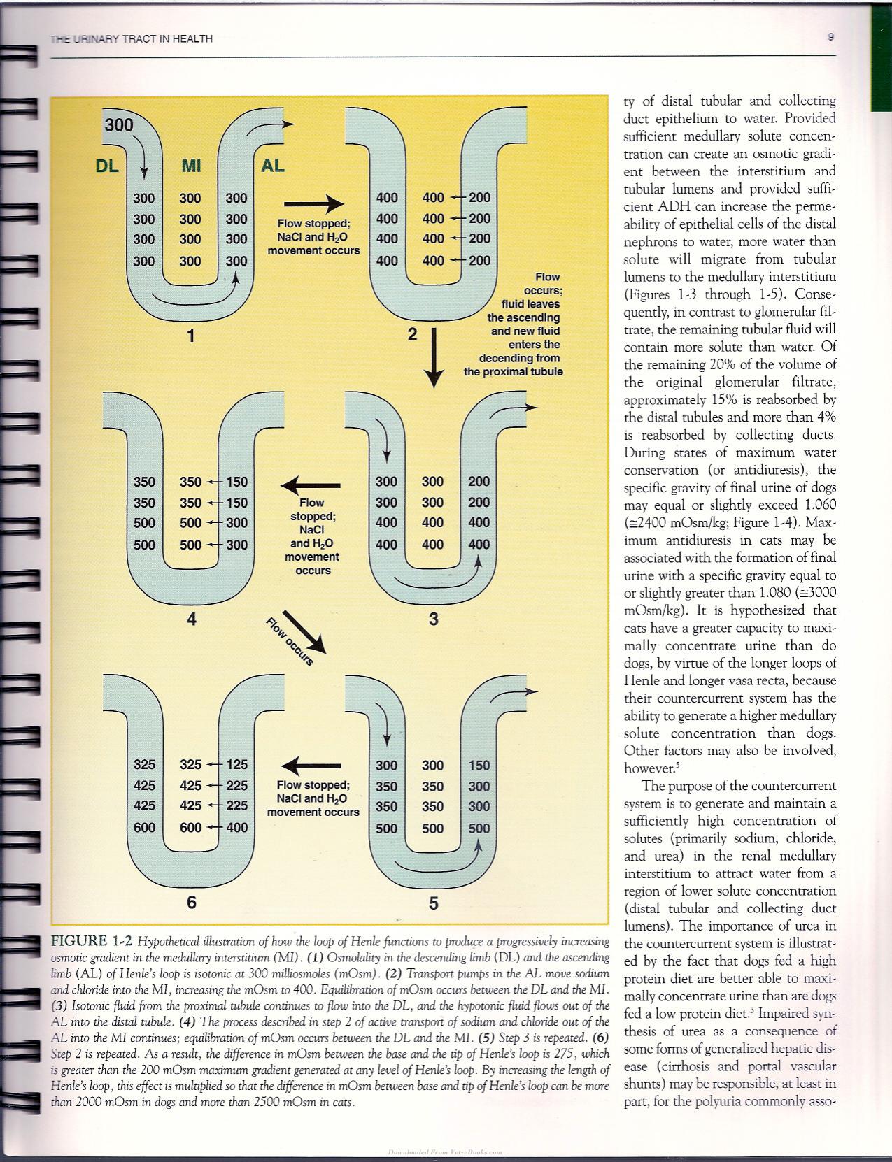 Urinalysis A Clinical Guide To Compassionate Patient Care