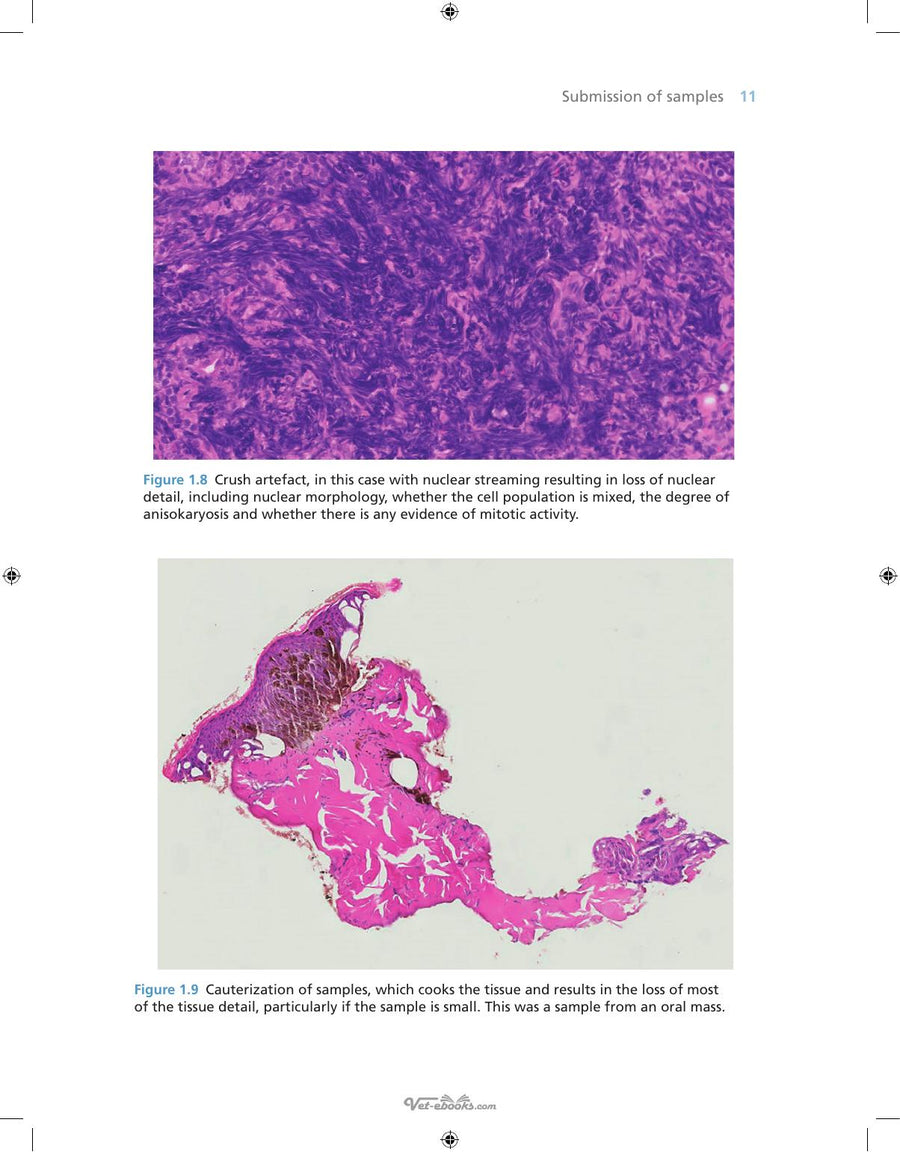 Preview page of Anatomic Pathology for Veterinary Clinicians