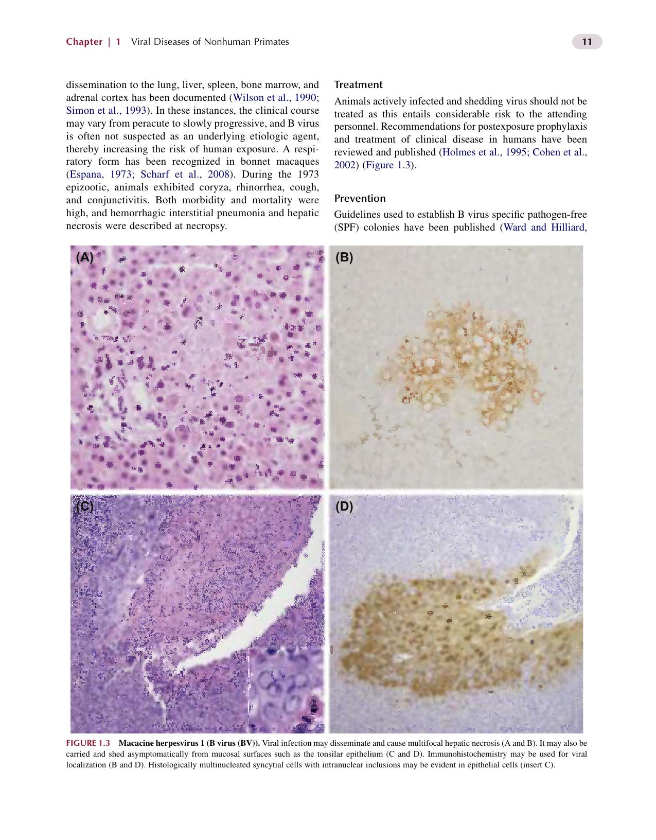 Nonhuman Primates In Biomedical Research Volume 2 Diseases 2Nd Edition