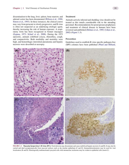 Nonhuman Primates in Biomedical Research Volume 2 Diseases 2nd Edition