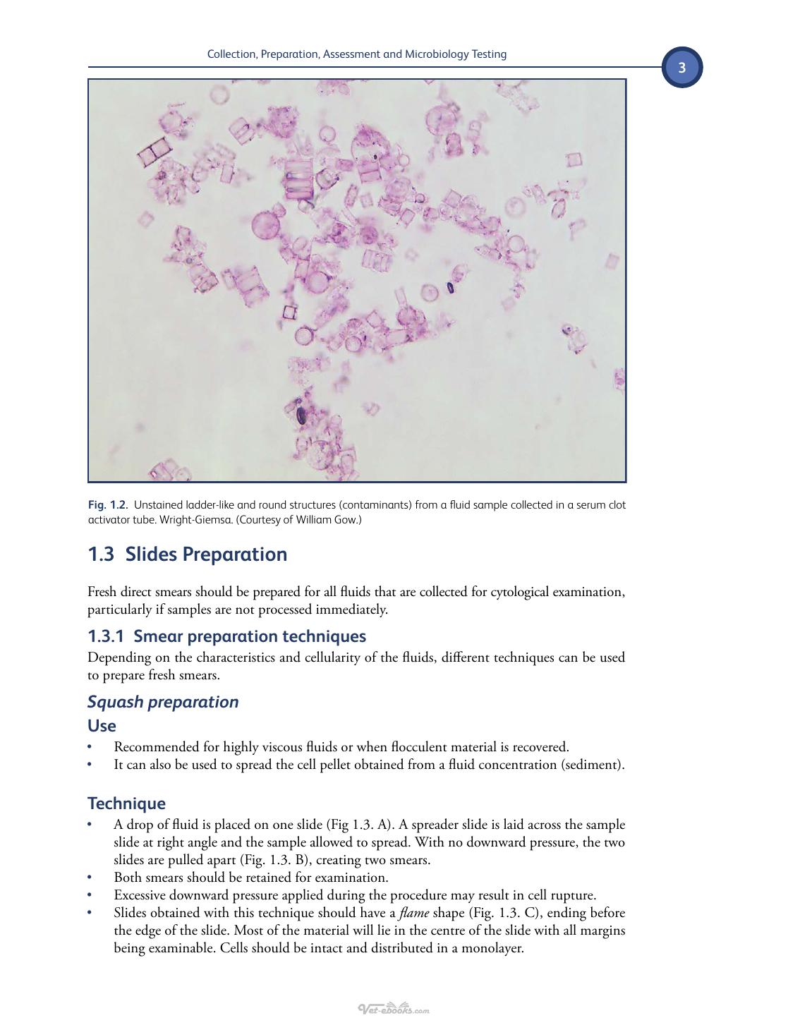 Differential Diagnosis Of Body Fluids In Small Animal Cytology