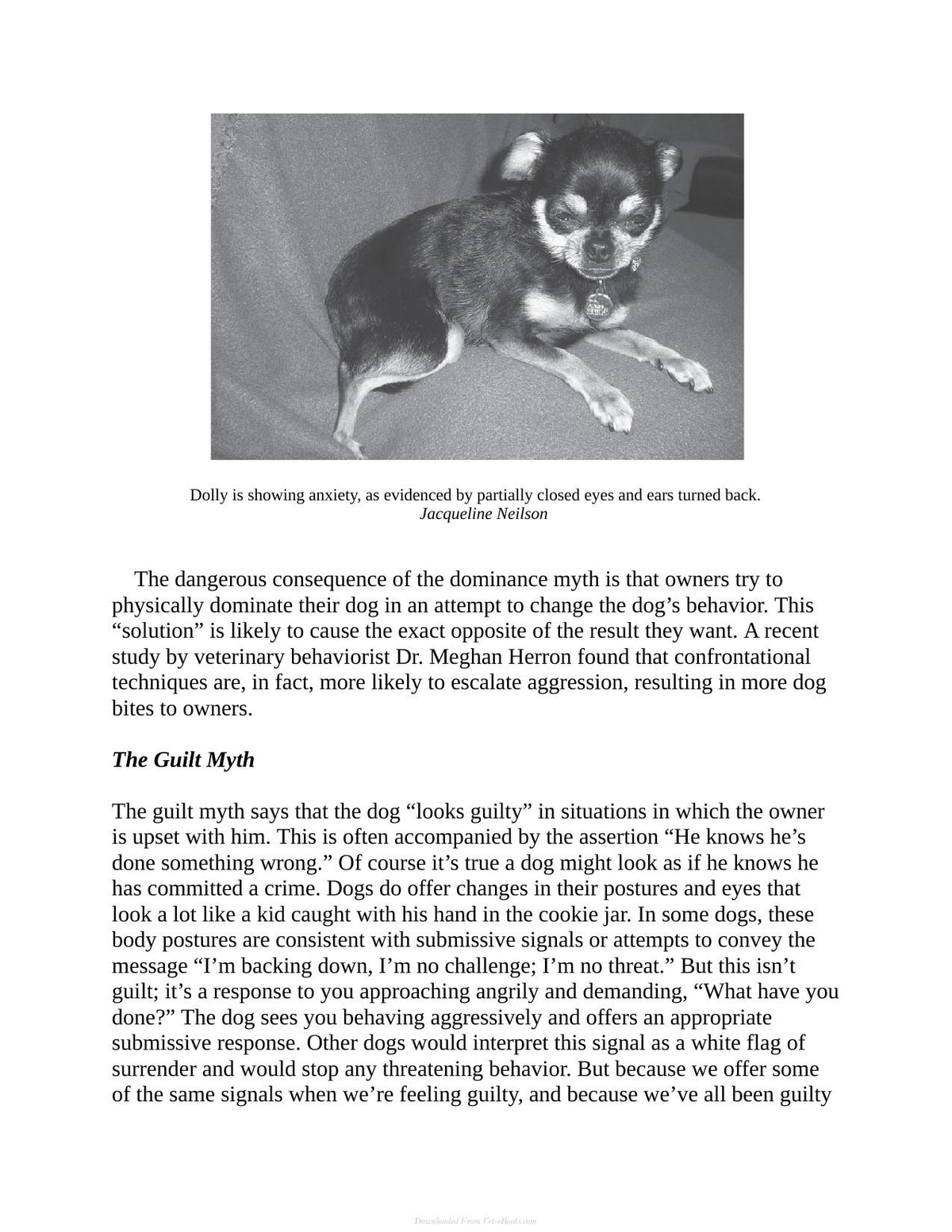 Decoding Your Dog