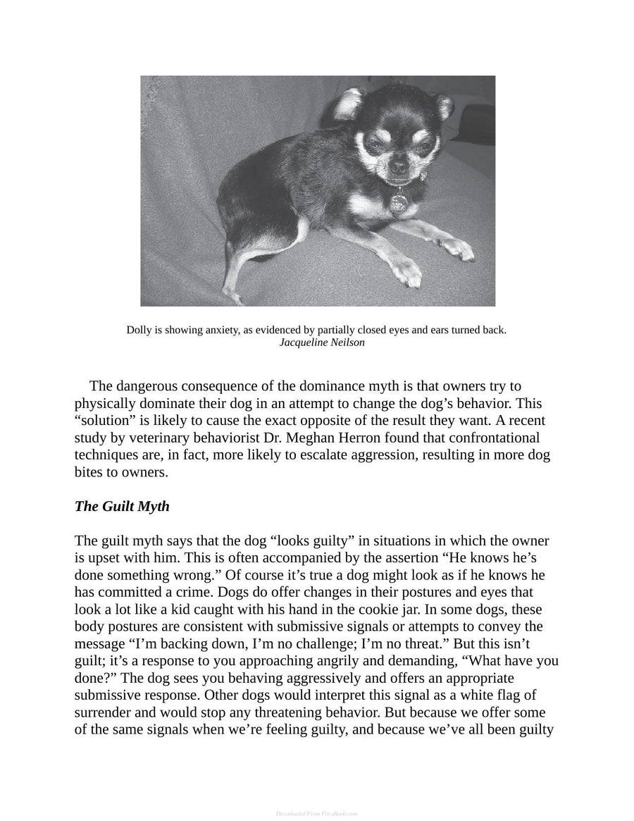 Preview page of Decoding Your Dog