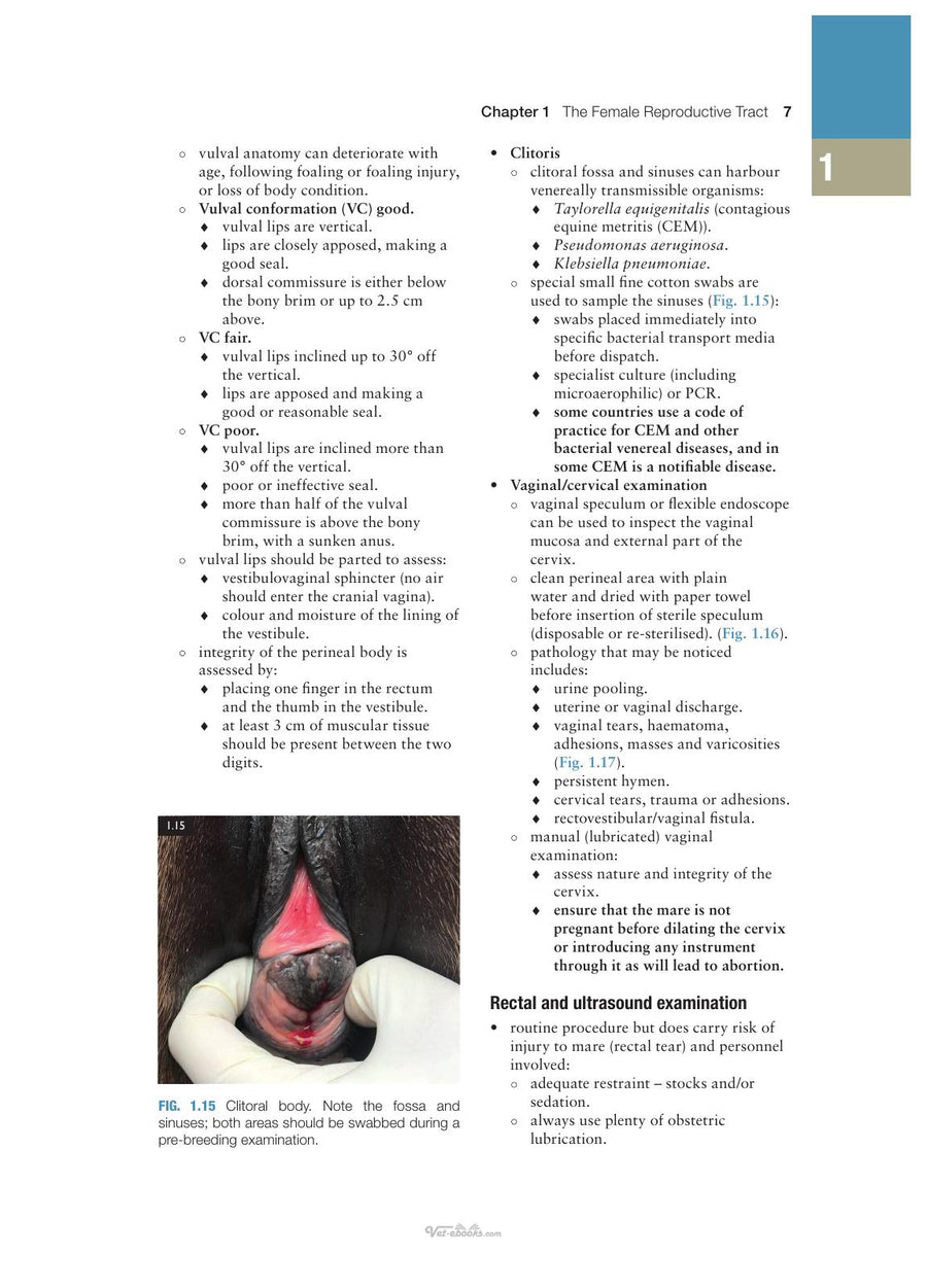 Preview page of Concise Textbook of Equine Clinical Practice Book 2 Reproduction and the Foal