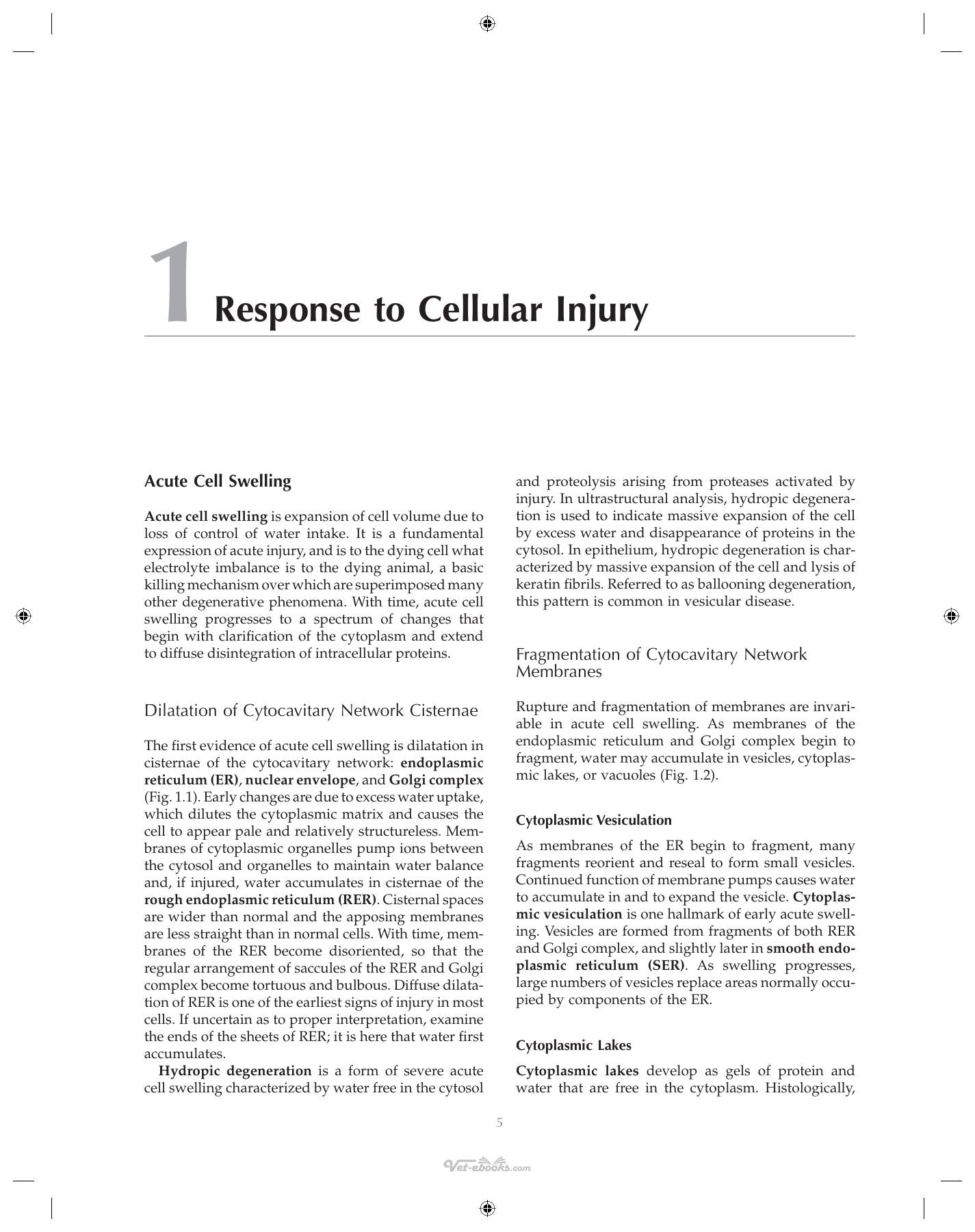 Ultrastructural Pathology The Comparative Cellular Basis Of Disease 2Nd Edition