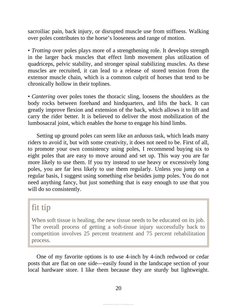 Preview page of 55 Corrective Exercises for Horses Resolving Postural Problems Improving Movement Patterns and Preventing Injury