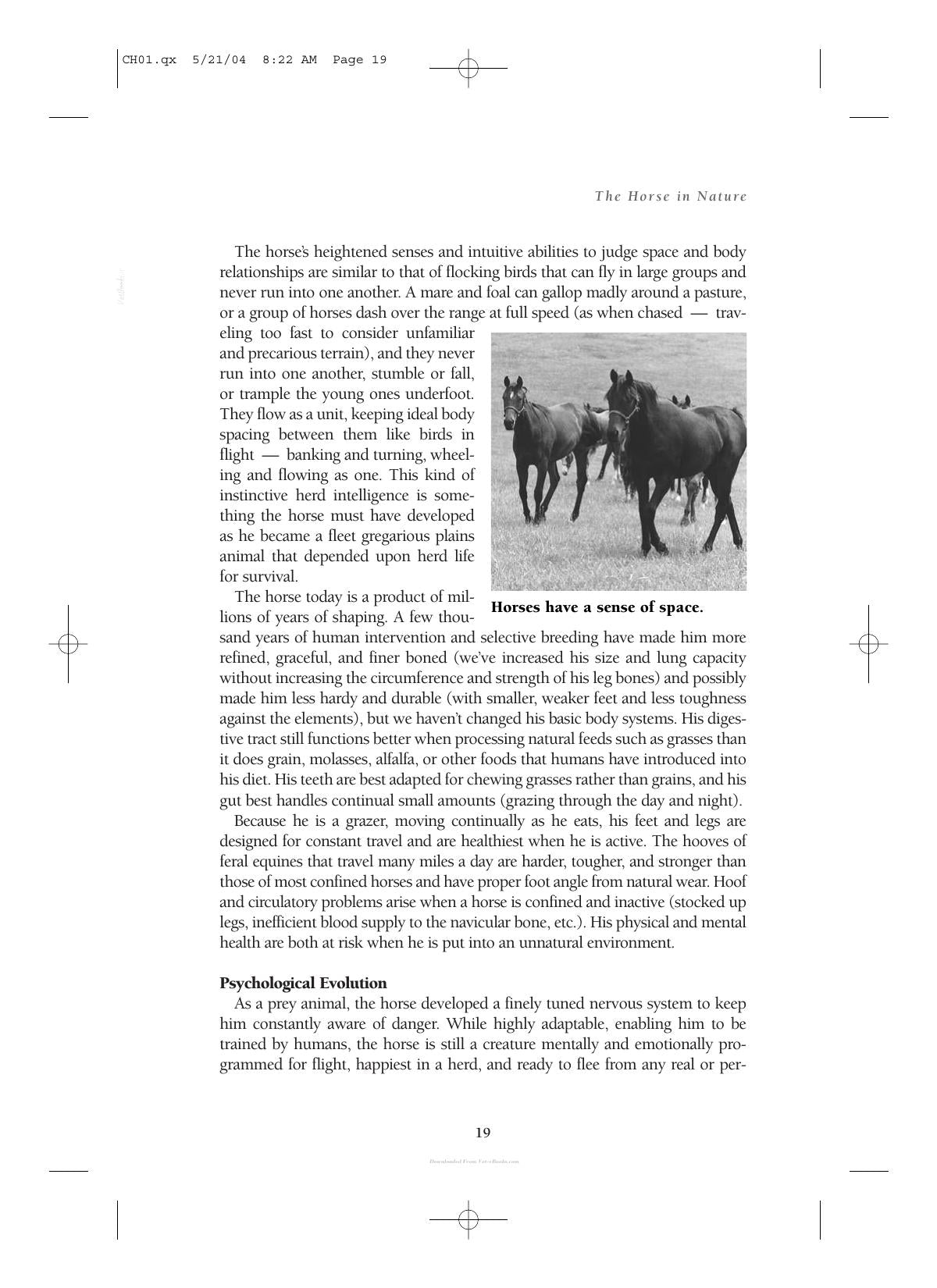 Care And Management Of Horses A Practical Guide For The Horse Owner