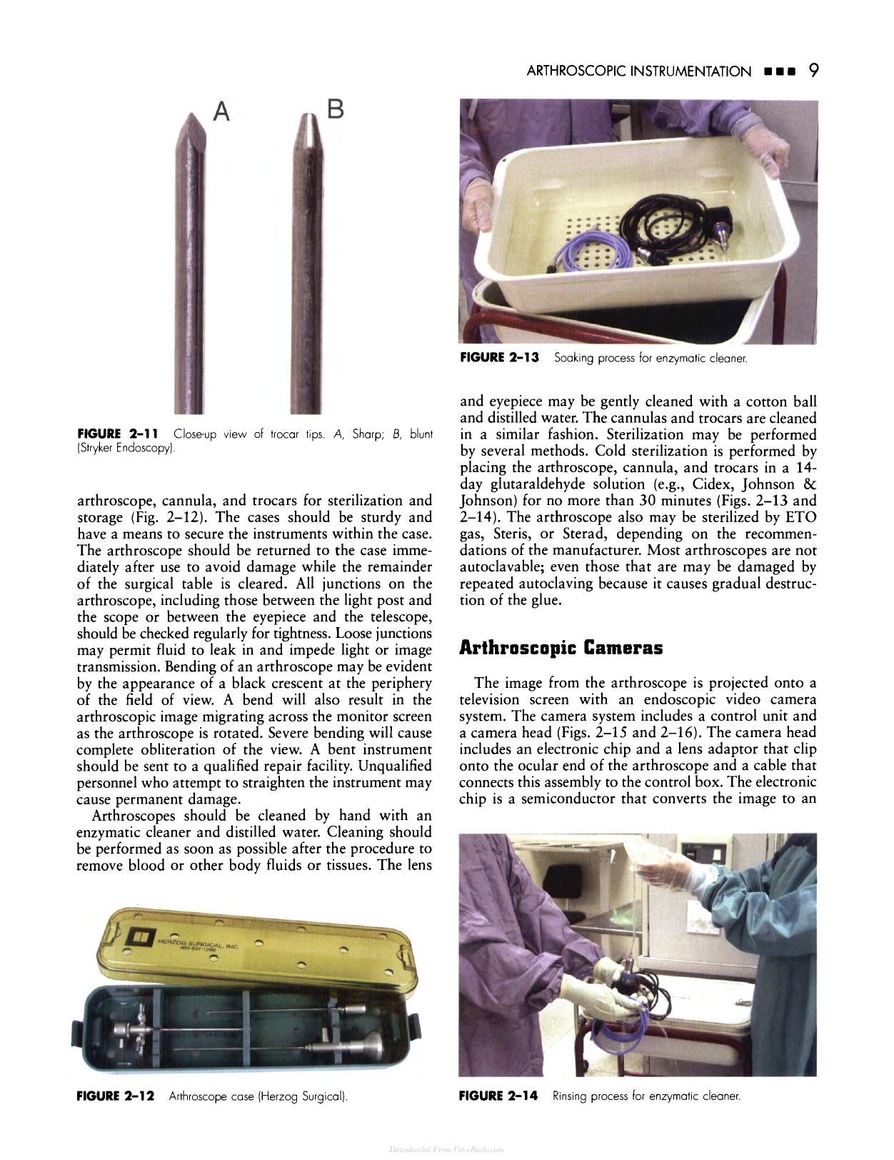 Small Animal Arthroscopy