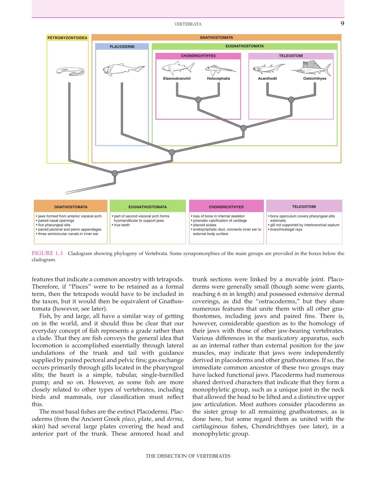 The Dissection Of Vertebrates 2Nd Edition