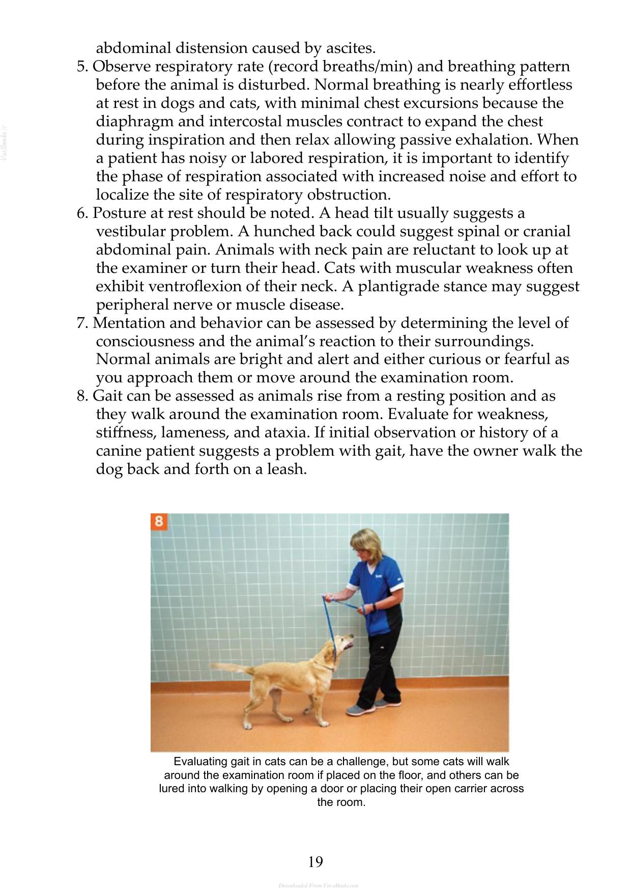 Small Animal Clinical Techniques 3Rd Edition