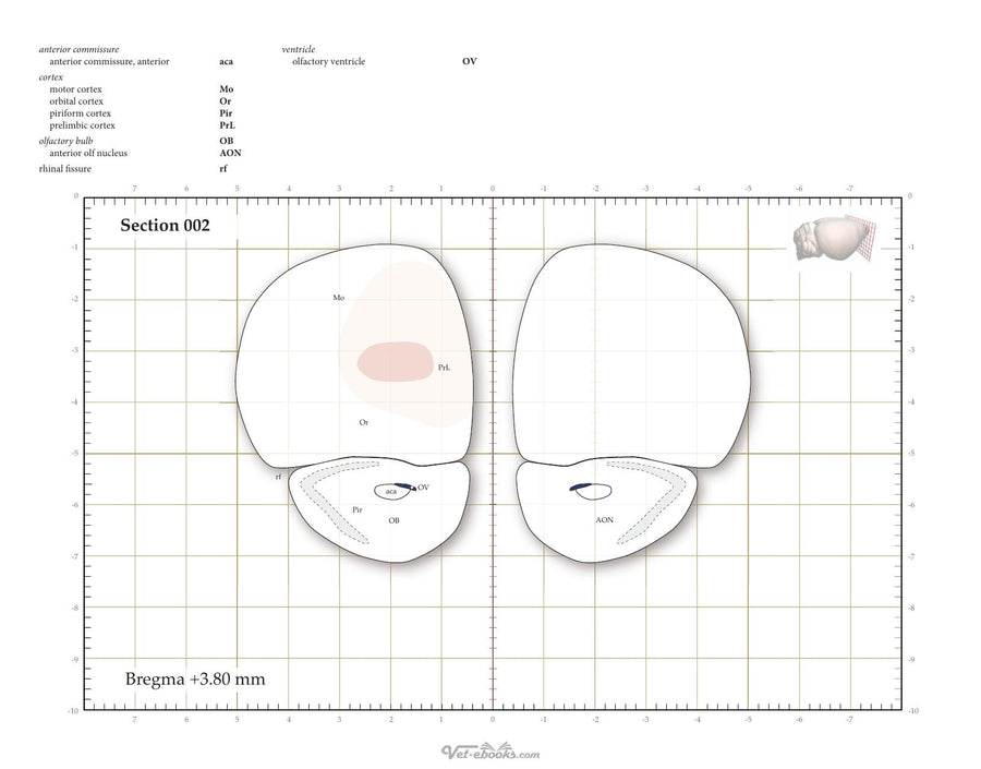 Preview page of Athymic Nude Rat Brain Atlas