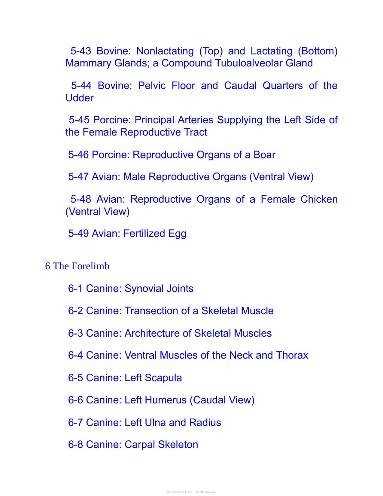 Saunders Veterinary Anatomy Flash Cards 2Nd Edition