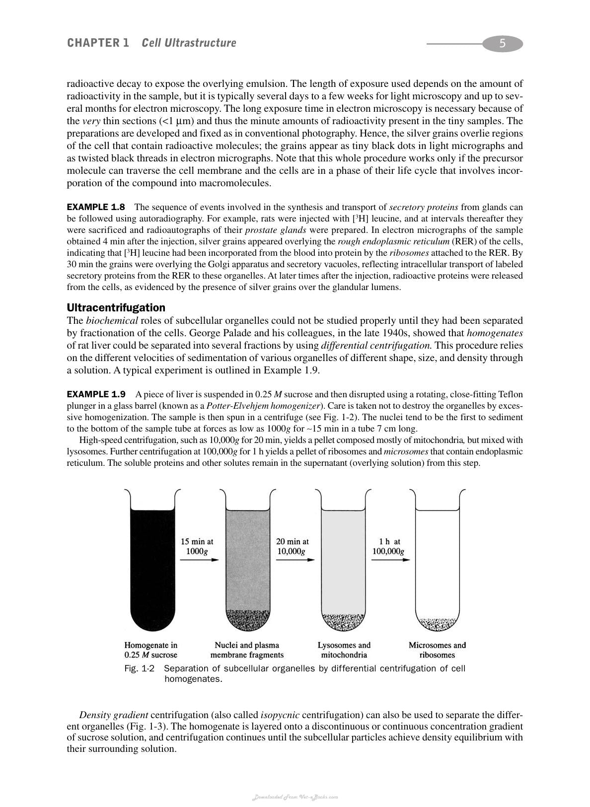 Schaums Outline Of Biochemistry 3Rd Edition