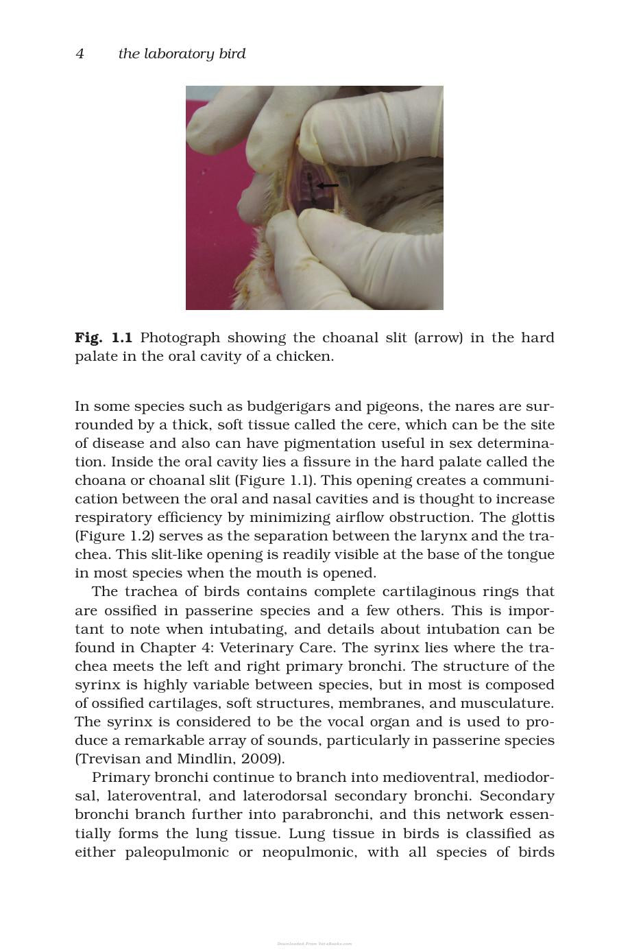 Look inside — page 20