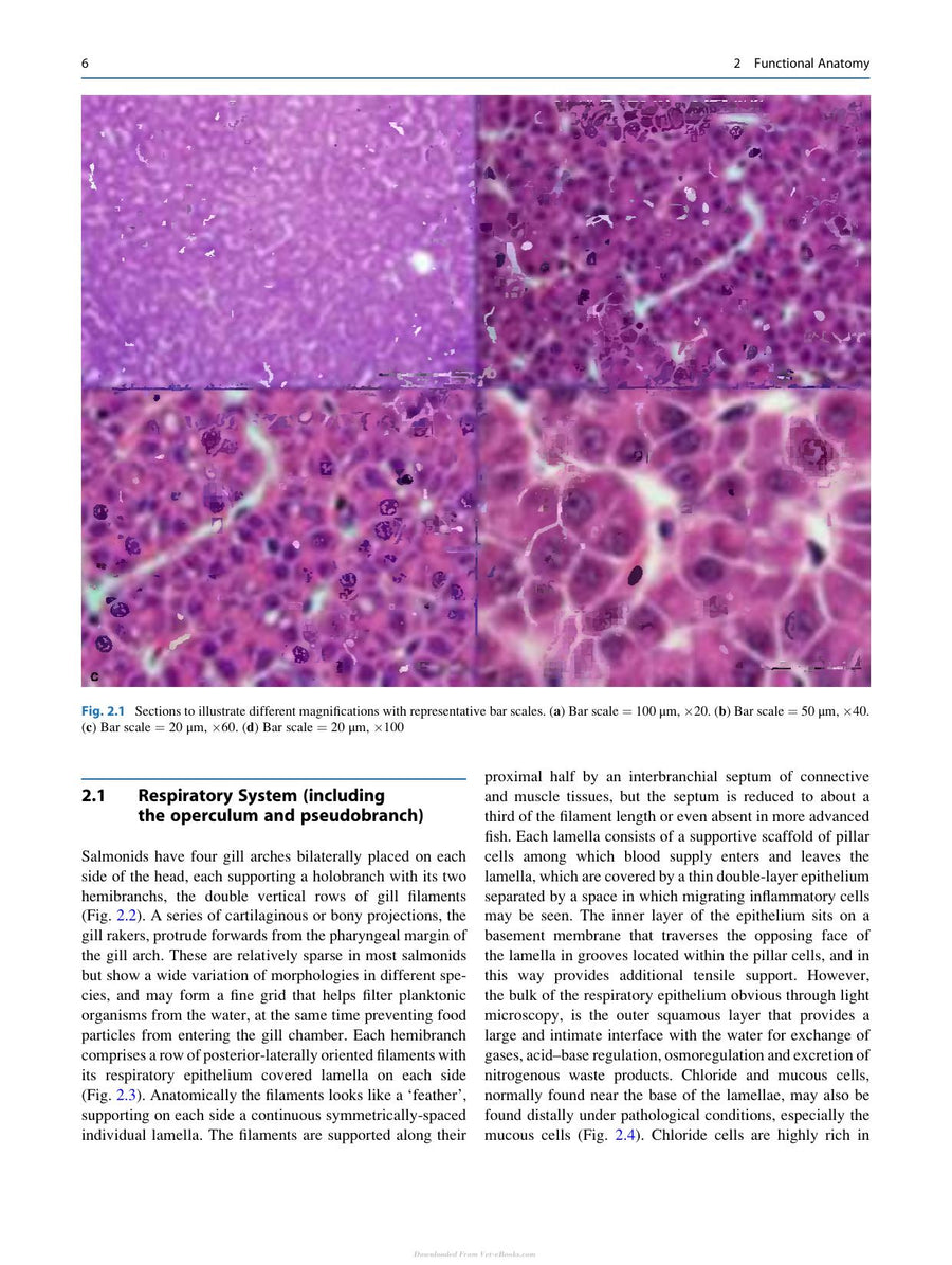 Preview page of A Colour Atlas of Salmonid Diseases 2nd Edition