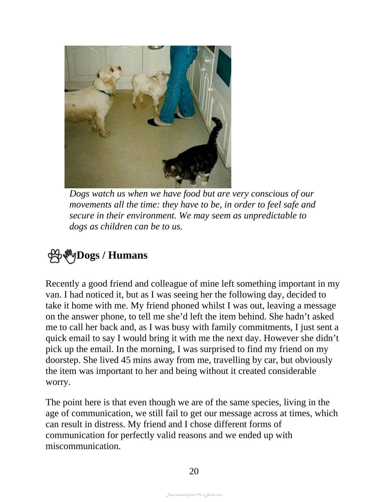 Understanding The Silent Communication Of Dogs