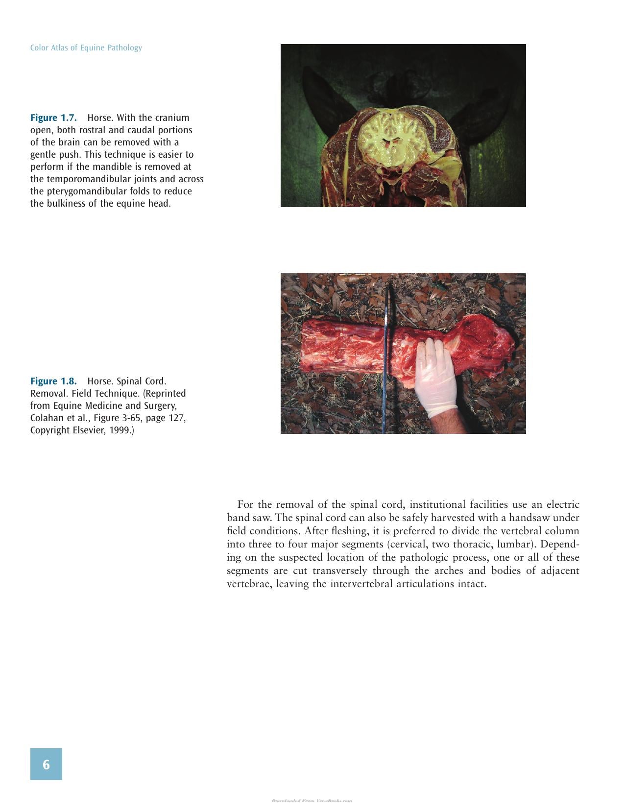 Look inside — page 20
