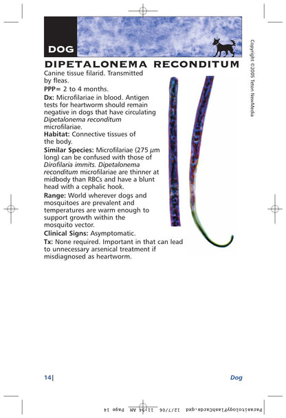 Parasitology Diagnosis and Treatment of Common Parasitisms in Dogs and Cats