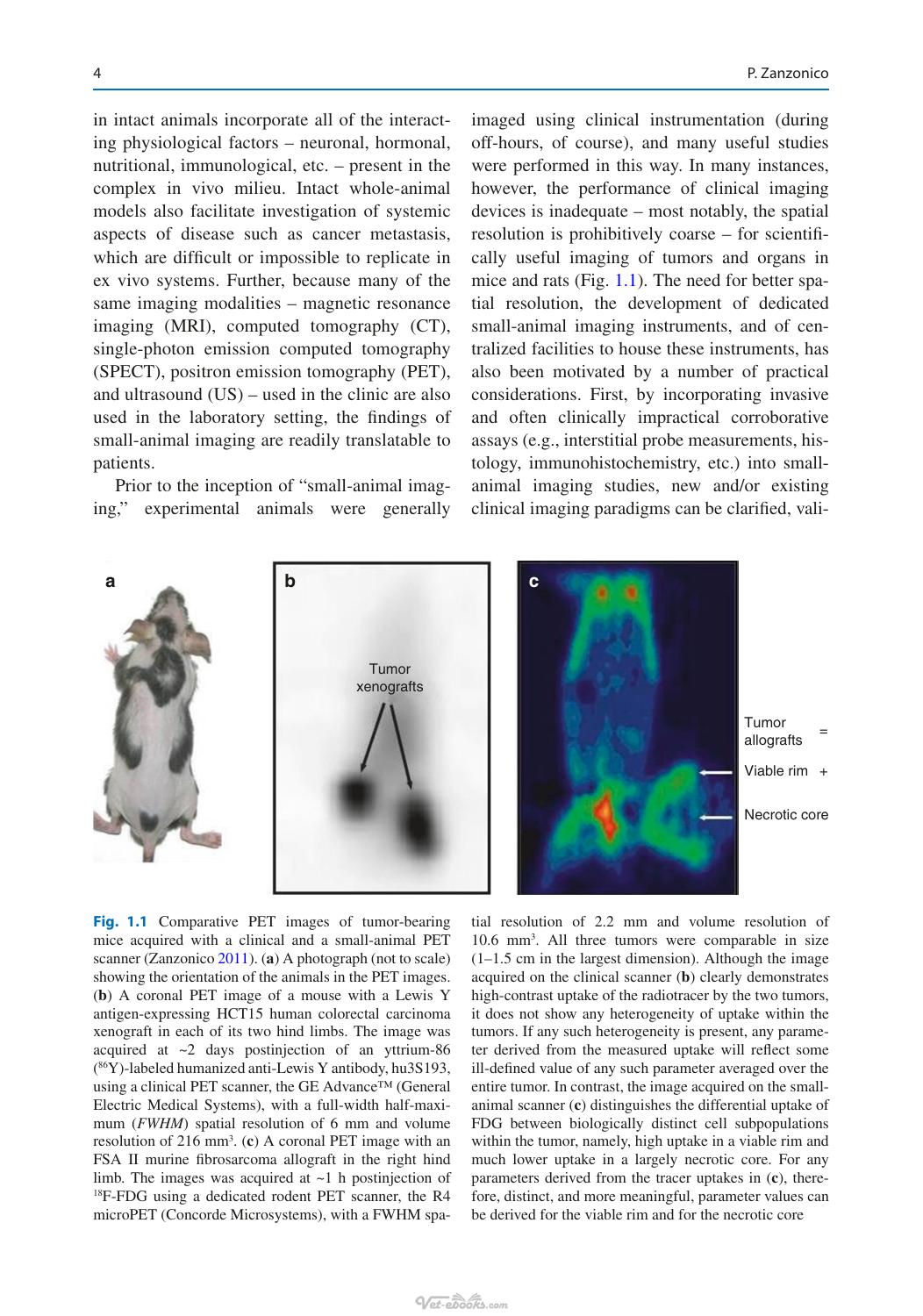 Small Animal Imaging 2Nd Edition
