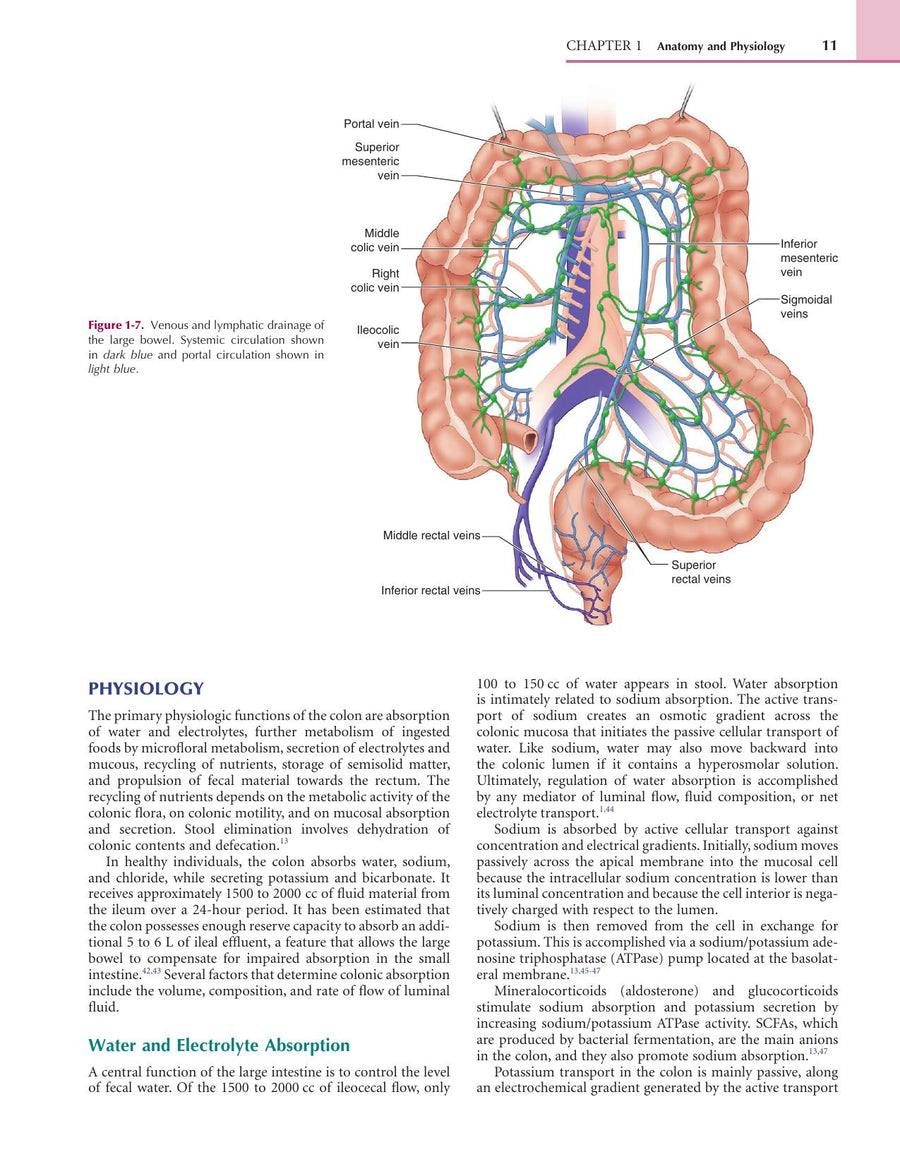 Preview page of Colorectal Surgery