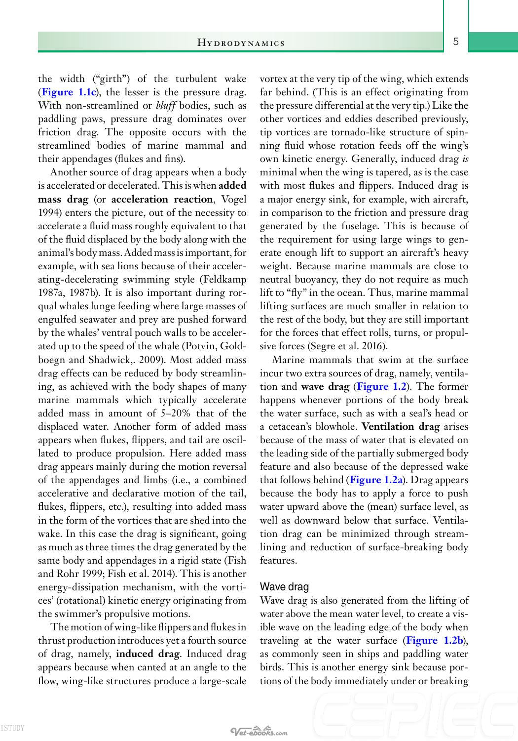 Physiology Of Marine Mammals Adaptations To The Ocean