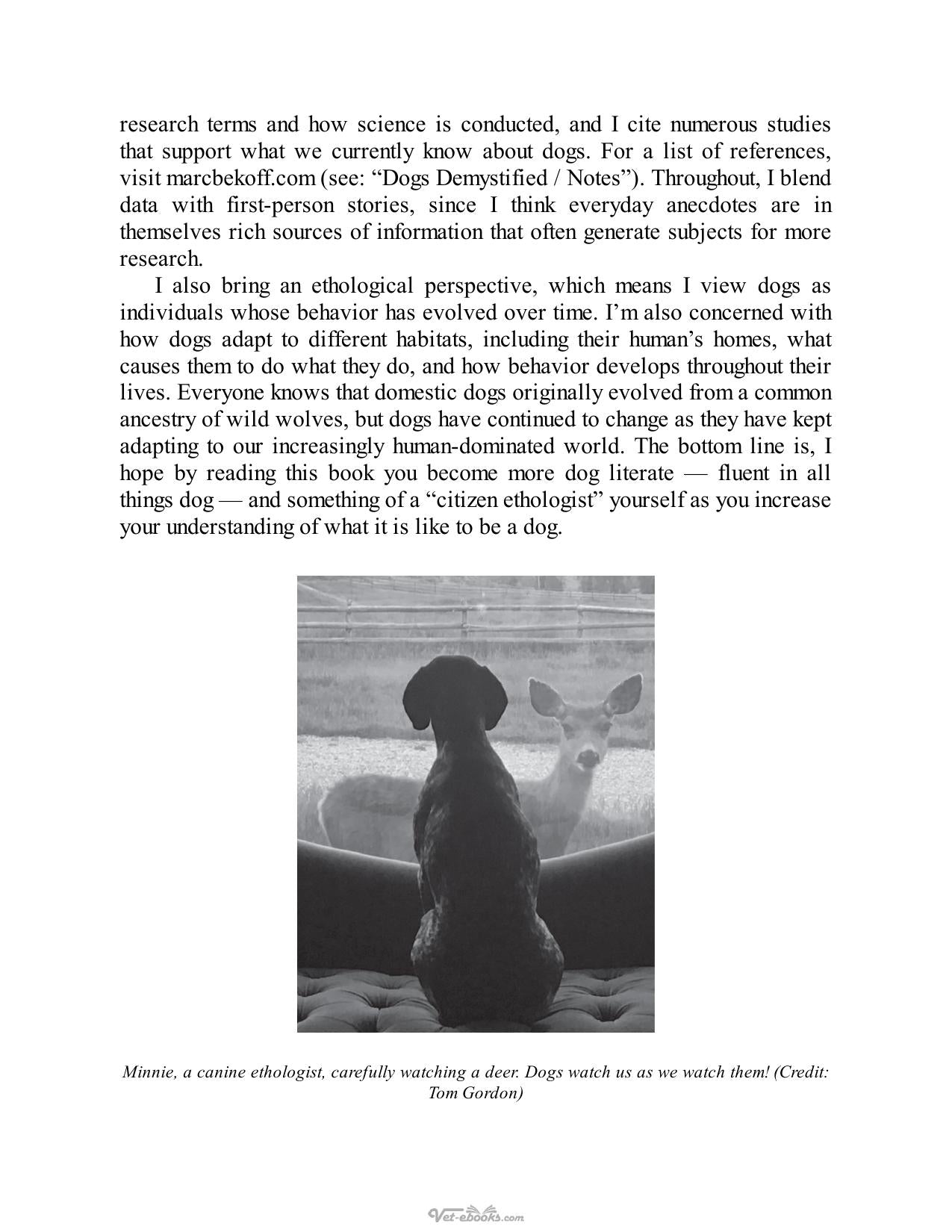 Dogs Demystified An A To Z Guide To All Things Canine