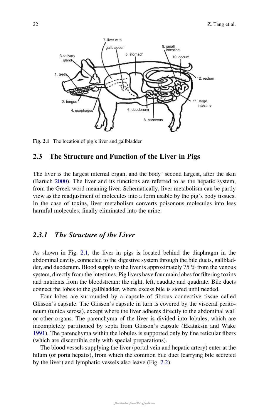 Nutritional And Physiological Functions Of Amino Acids In Pigs
