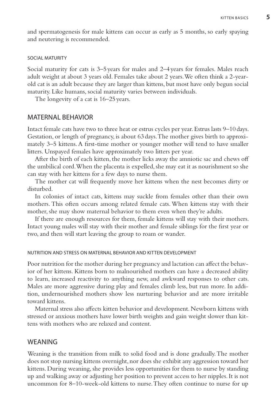 Preview page of The Good Cat Parents Guide to Feline Behavior Modification