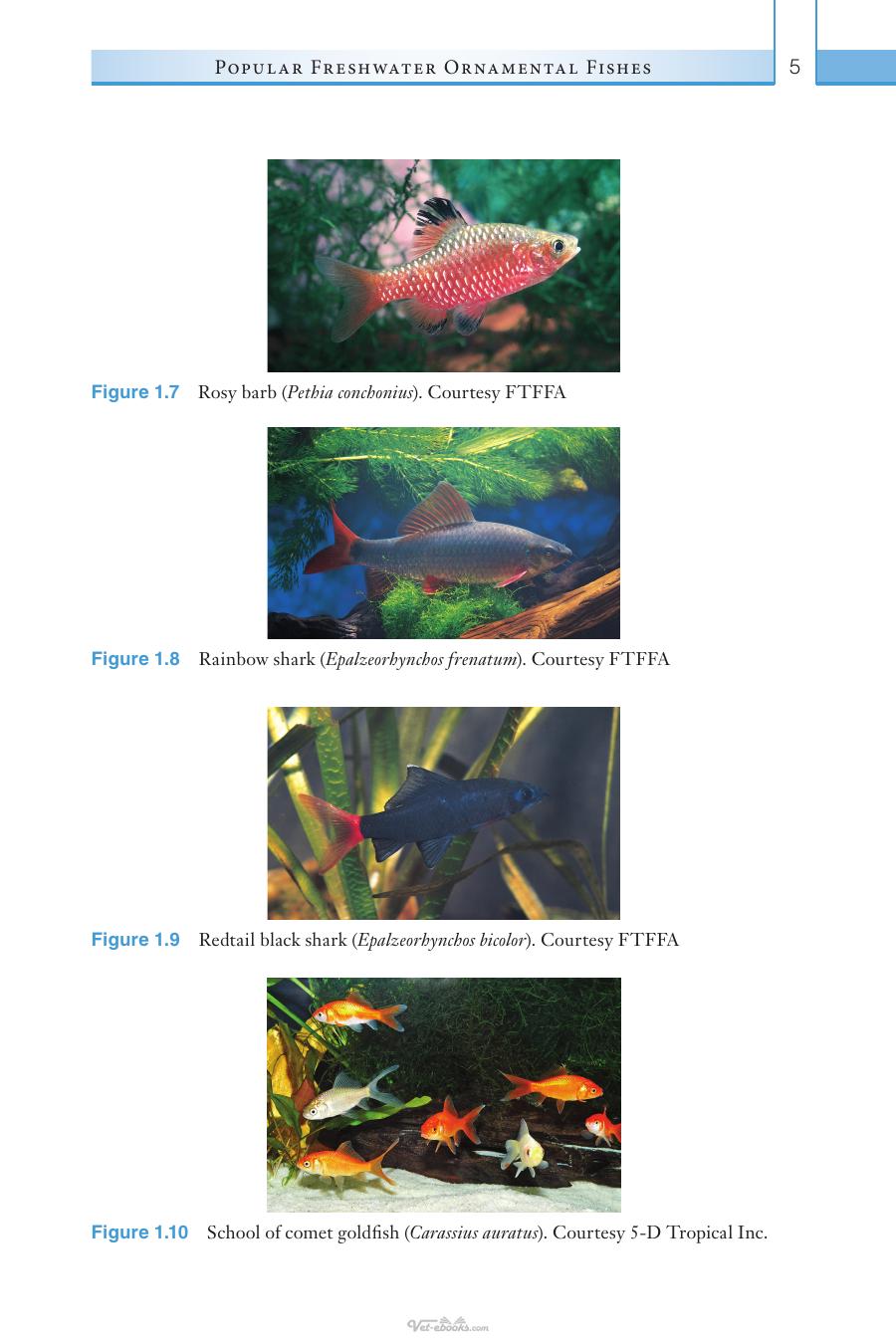 The Aquarium Fish Medicine Handbook
