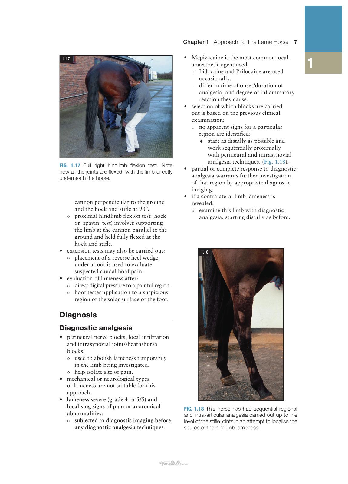 Concise Textbook Of Equine Clinical Practice Book 1 Lameness