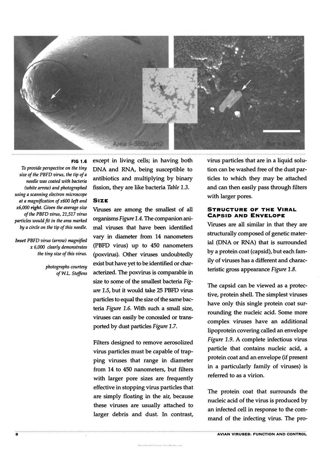 Avian Viruses Function And Control