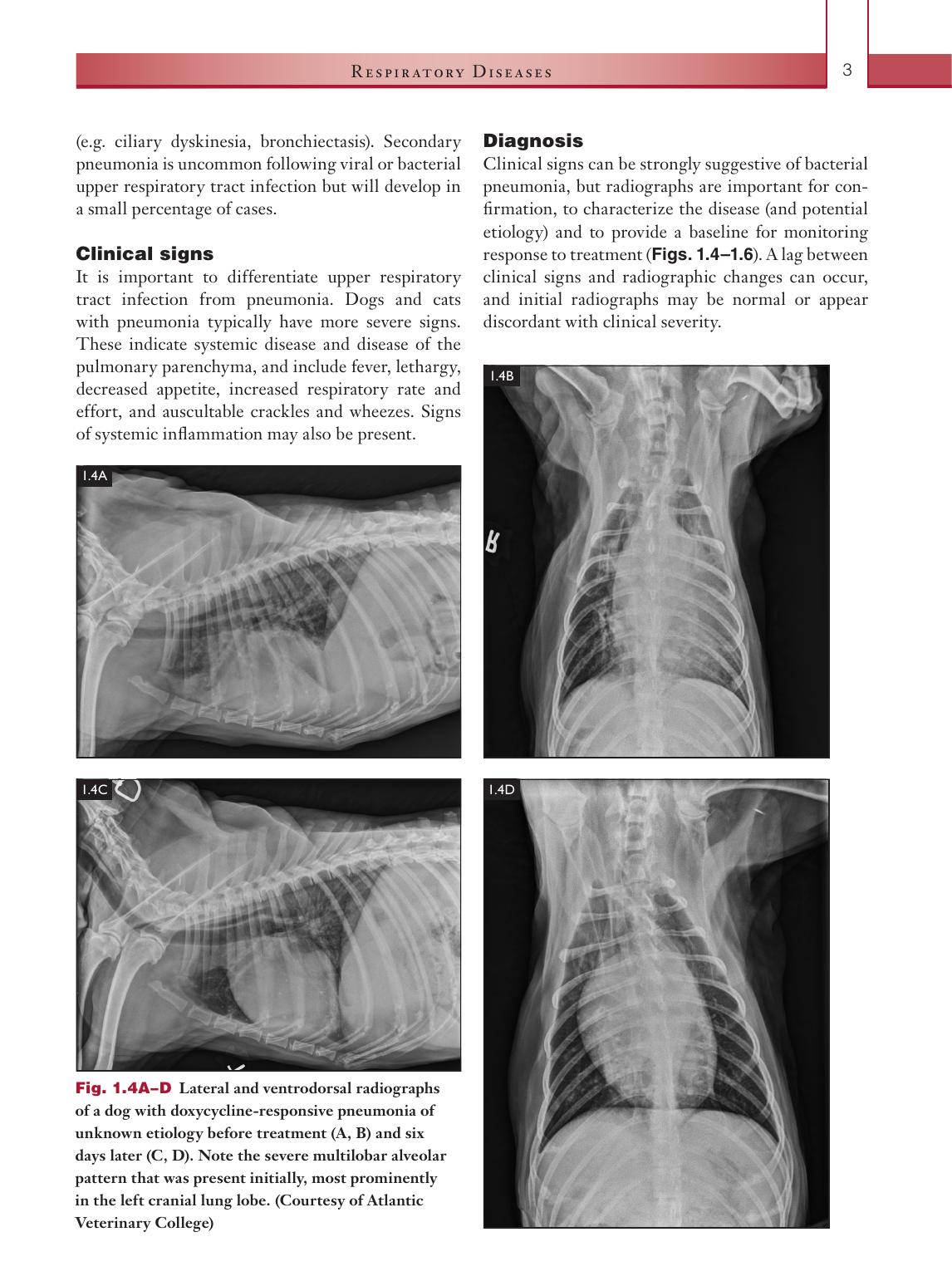 Infectious Diseases Of The Dog And Cat A Color Handbook