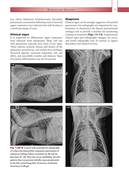 Infectious Diseases of the Dog and Cat a Color Handbook